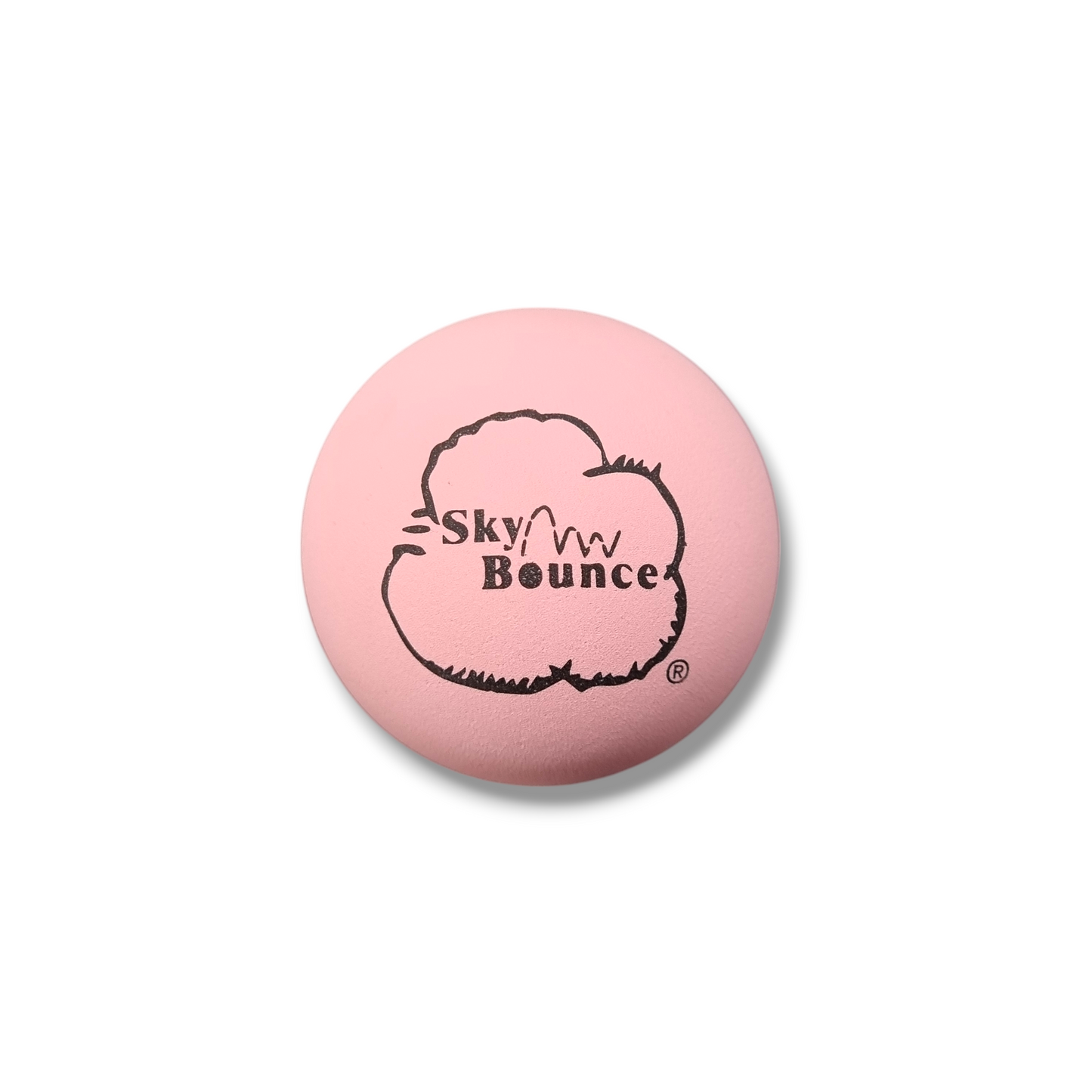 Sky Bounce One Wall Handball