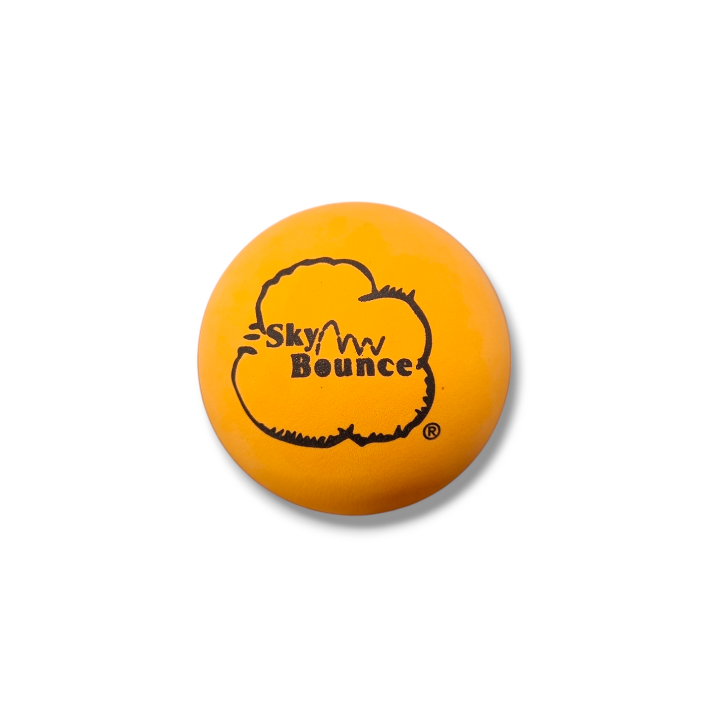 Sky Bounce One Wall Handball