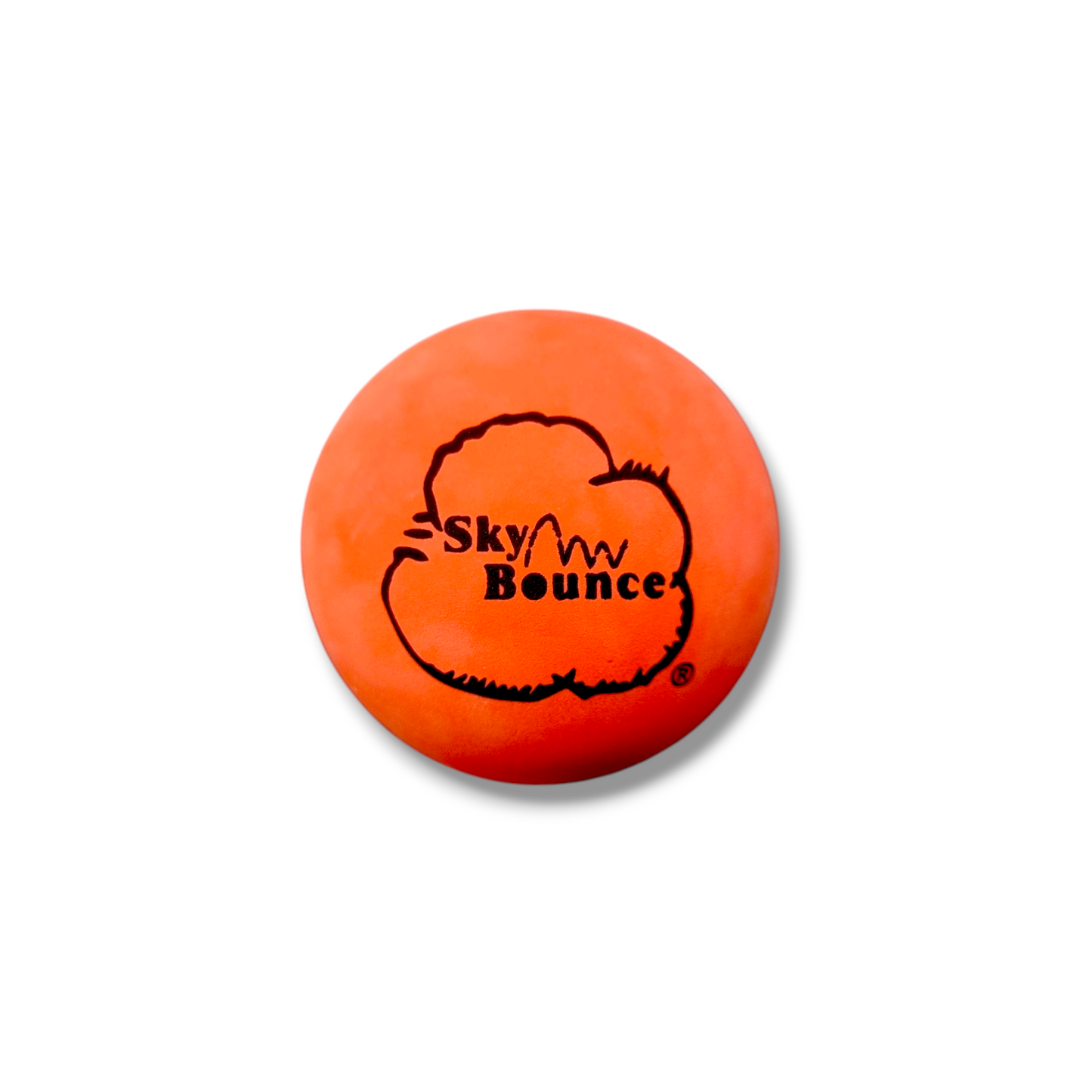 Sky Bounce One Wall Handball